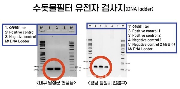 이승준 부경대 교수팀의 수돗물필터 유전자 검사결과